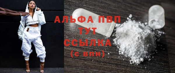 стаф Арсеньев