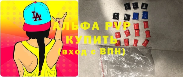 стаф Арсеньев
